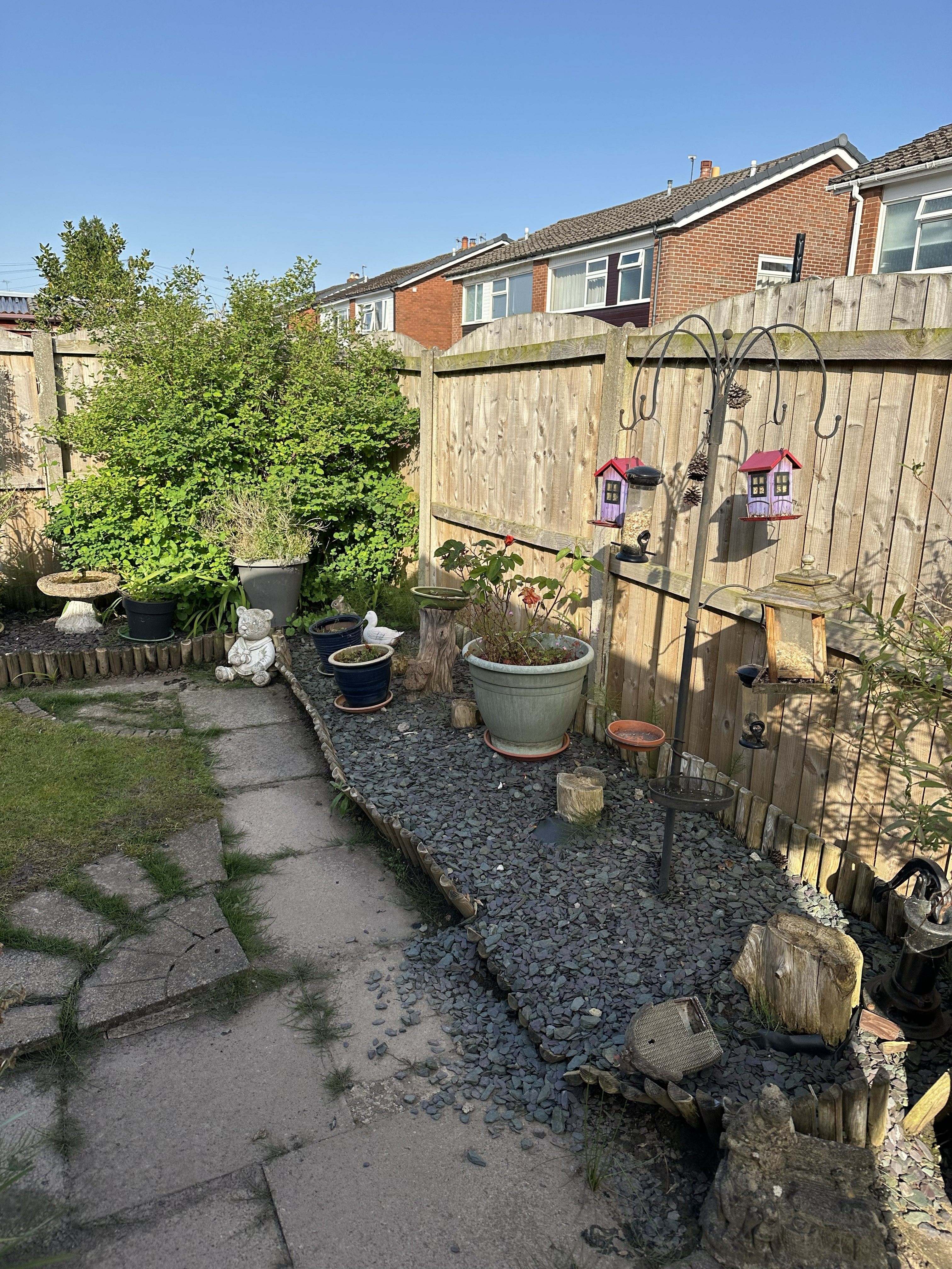Overgrown garden border before redesign