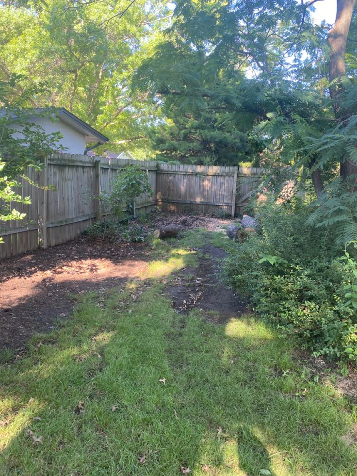 Garden before transformation