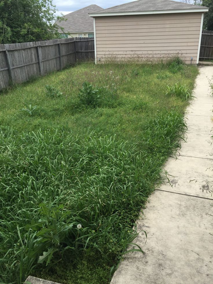 Garden before planting scheme