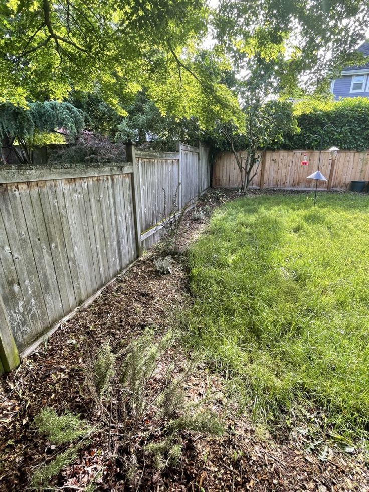 Garden before makeover